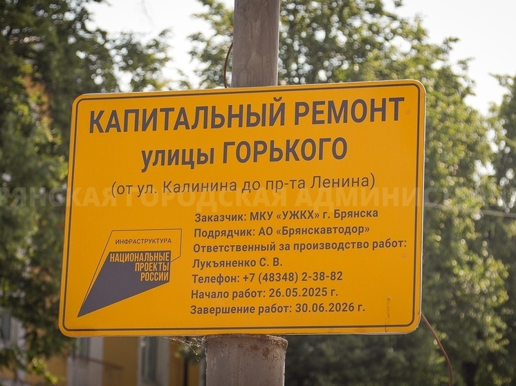 В Советском районе до 23 июня перекроют улицу Горького