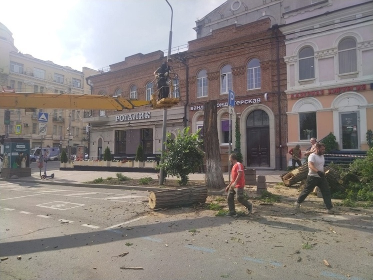 В результате сильного ветра в Ростове-на-Дону за сутки упало 13 деревьев