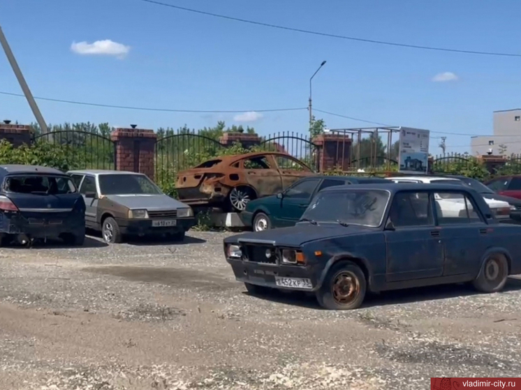 Жителей Владимира призывают бороться с автохламом на улицах города