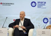 На сессии Петербургского международного экономического форума обсудили регулирование платформенной экономики.