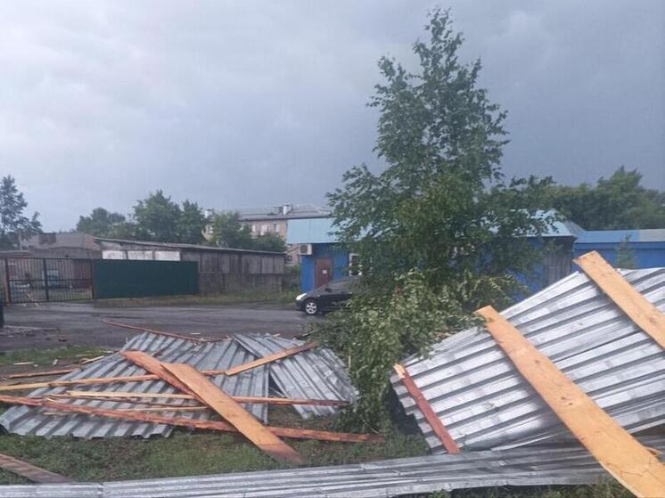 Четыре человека пострадали в результате урагана в Новосибирской области