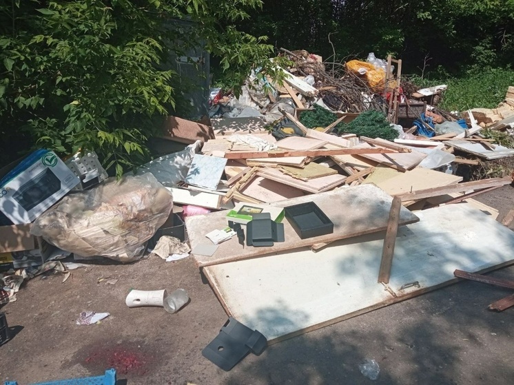 Жители Иванова возмущены свалкой посреди двора