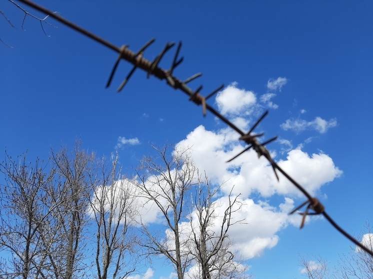 В Саратове активизировалась организованная преступность