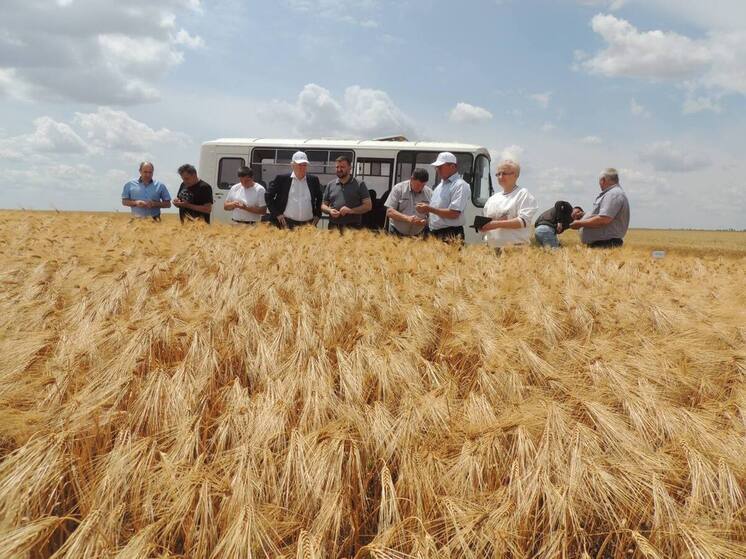 В Туркменском округе обсудили подготовку к уборке урожая зерновых и зернобобовых