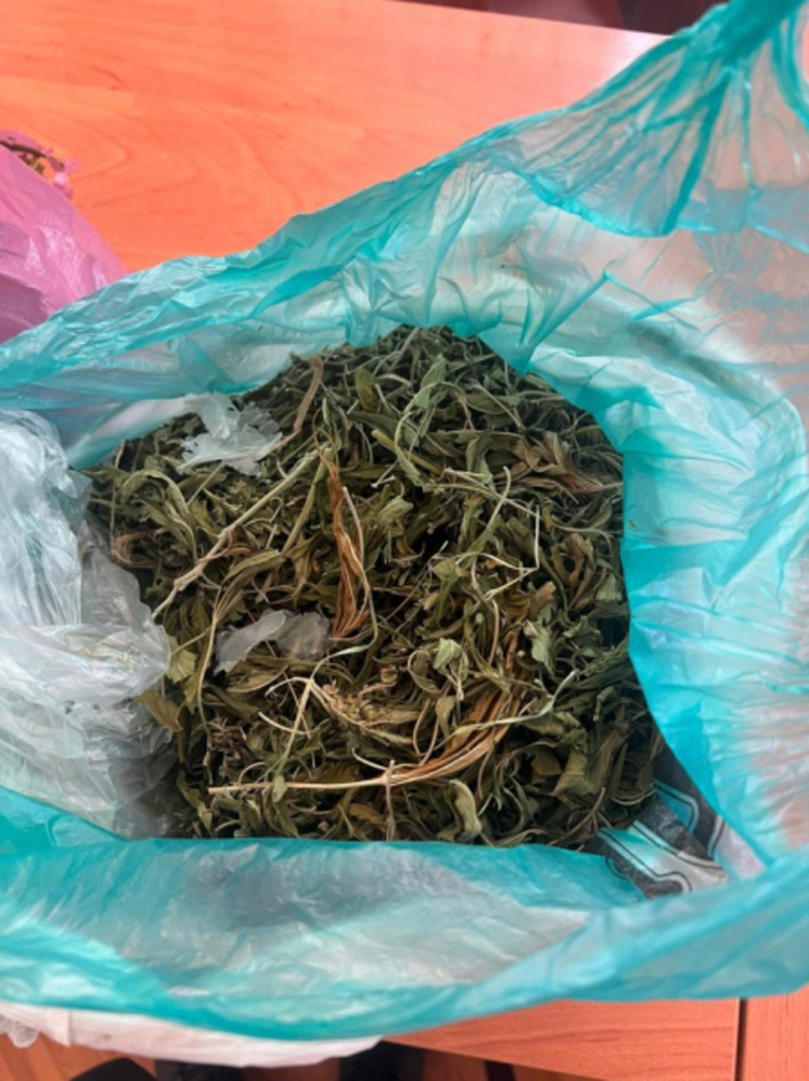 У мужчины в Староюрьево нашли кусты конопли и высушенную марихуану