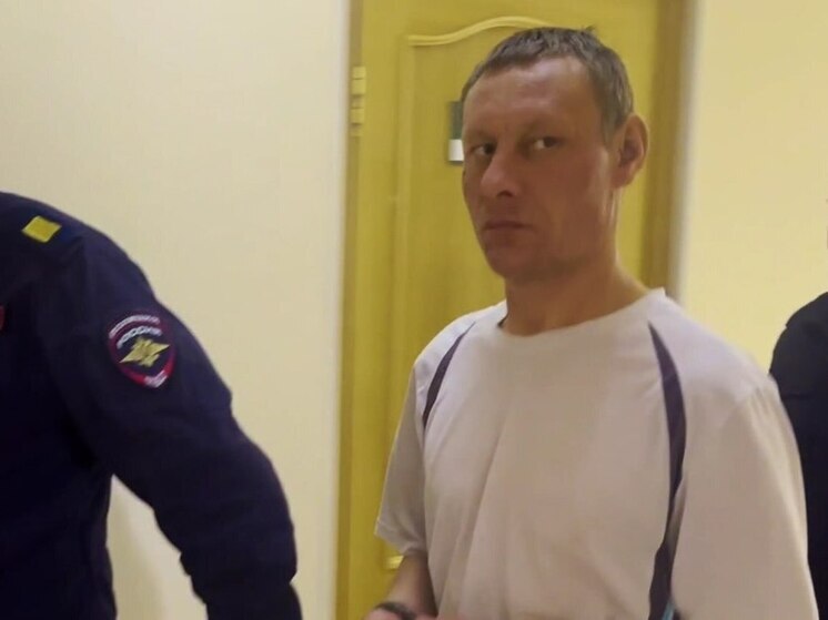 Найденного по ДНК неудачливого вора заключили под стражу в Чите