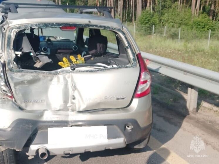 ПАЗик снёс багажник легковушке на калужской трассе