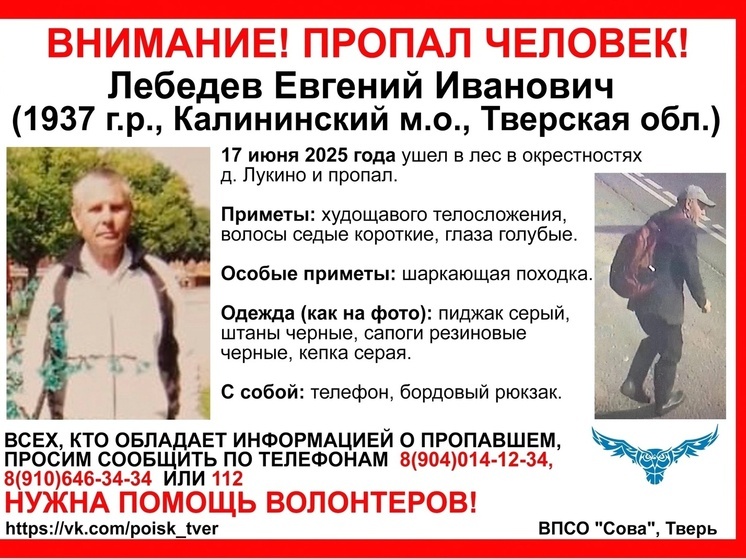 Волонтеры обновили ориентировку на пропавшего в лесу Тверской области пенсионера