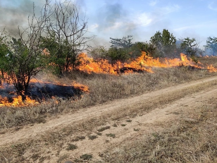 В лесной зоне Калмыкии пожары не зафиксированы