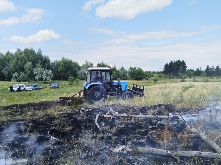 В Самарской области произошел лесной пожар 19 июня
