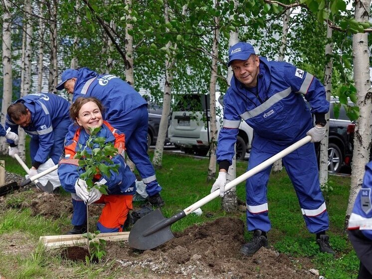В Ноябрьске обсудили сохранение и восстановление почвенного плодородия на Ямале