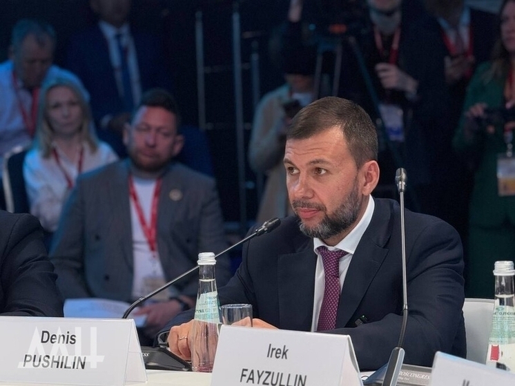 Глава ДНР поделился информацией о текущих усилиях по привлечению инвестиций в регион