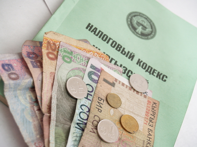 В Кыргызстане снизят налоги для граждан и бизнеса: принят новый закон