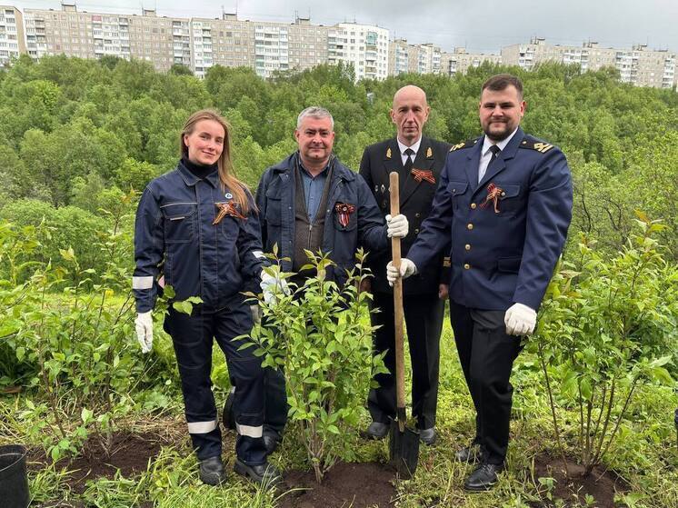 Моряки «Атомфлота» высадили деревья в Мурманске в память о героях