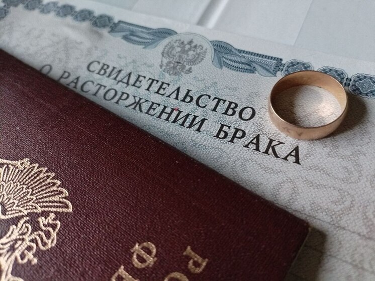 Глава Минюста предложил отправлять разводящихся супругов к медиатору «вправлять мозги»
