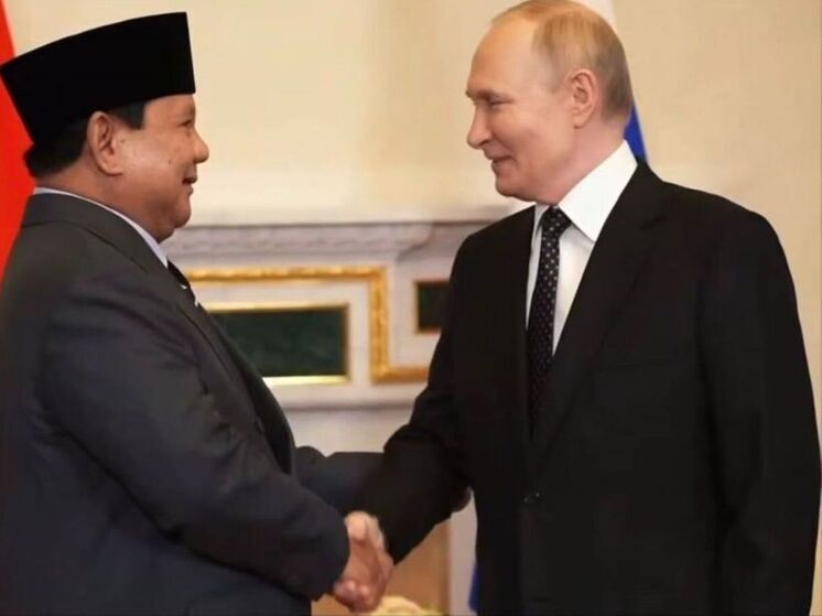 МИД Индонезии опубликовал видео визита президента в Россию под песню «Матушка»