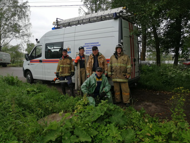Новгородские спасатели спасли береговую зону Волхова от сорной травы