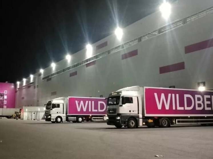 Тюменская область станет частью логистической сети Wildberries: в регионе появится гигантский распределительный центр