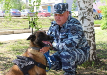В апреле в Прикамье заблудились двое подростков