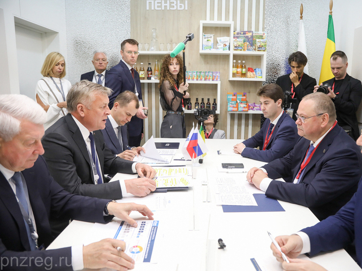 Пензенская область и «Газпром межрегионгаз» обсудили развитие газовой инфраструктуры
