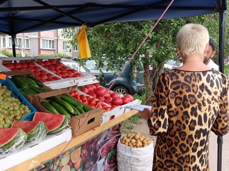 В Курске составили 8 протоколов за незаконную торговлю