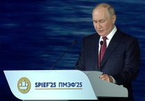На пленарной сессии ПМЭФ с участием Владимира Путина был найден универсальный способ решения всех конфликтов