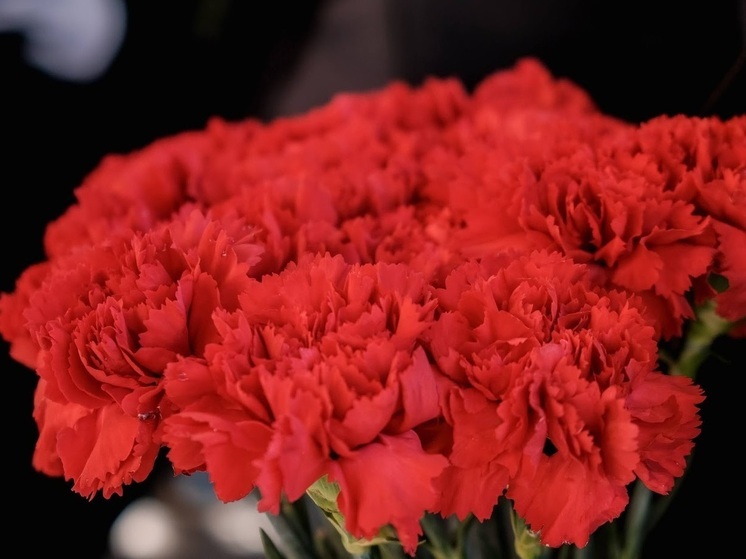 В Волгоградской области простятся с погибшим на СВО Александром Калиничевым