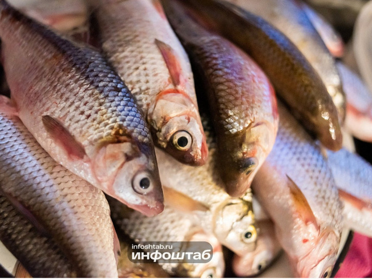 В Астраханской области с 21 июня снимут нерестовые ограничения