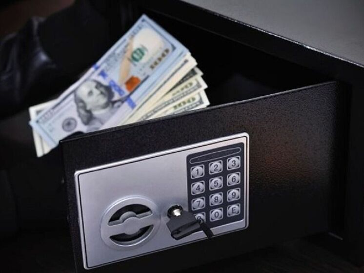 Мошенник из Северной Осетии выманил у нижегородки сейф со $100 тыс