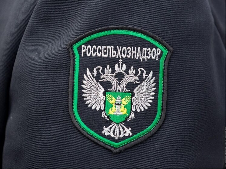 Россельхознадзор отобрал пробы белой капусты в хозяйстве Херсонской области