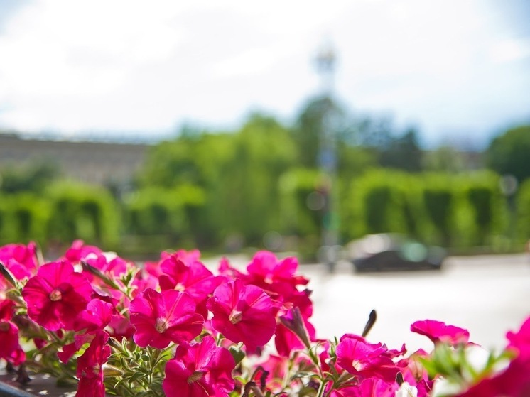 Народные приметы: что не рекомендуется делать 21 июня, в Федоров день