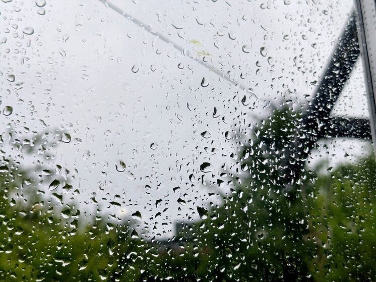 Владивосток очищают от луж, веток и деревьев после непогоды