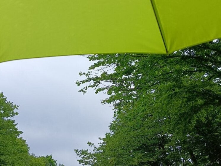 В Хакасии снова объявили штормовое предупреждение из-за дождей и ветра до 30 м/с