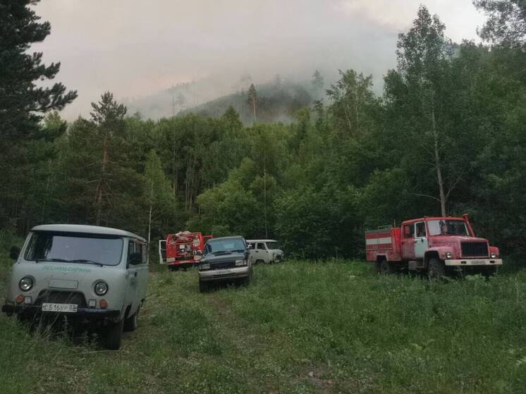 В Бурятии для борьбы с пожаром возле СНТ "Лесовод" привлечены сотрудники из 4 районов