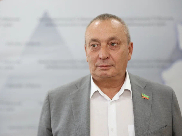 Депутат Забайкалья назвал главное преимущество объединения районов в округа