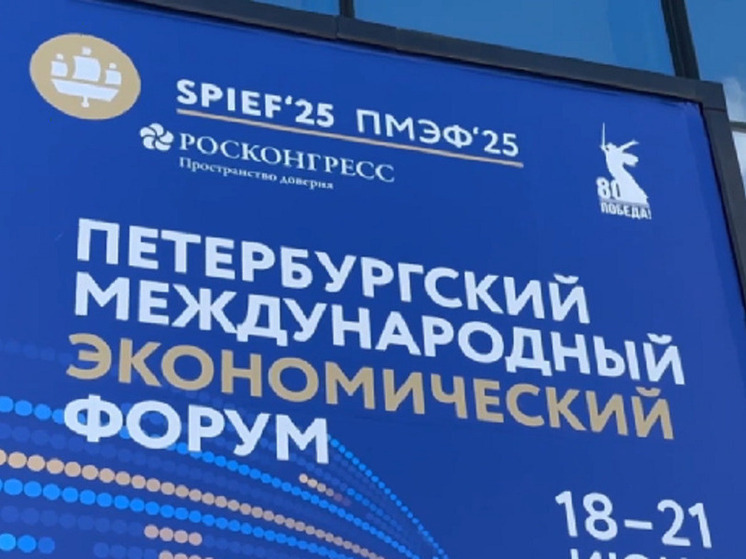 Итоги Петербургского форума: какие проекты ПМЭФ-2025 могут изменить Новосибирск и область