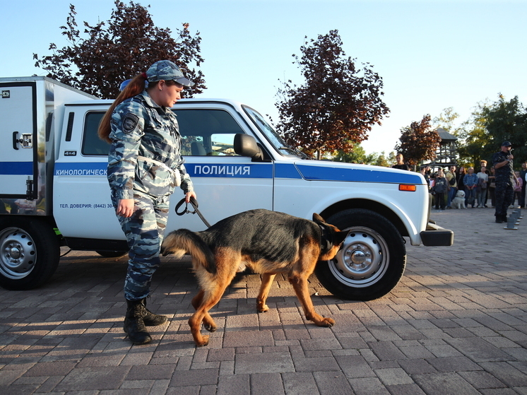 В Волгоградской области ищут пропавшую 10-летнюю девочку с розовой сумкой