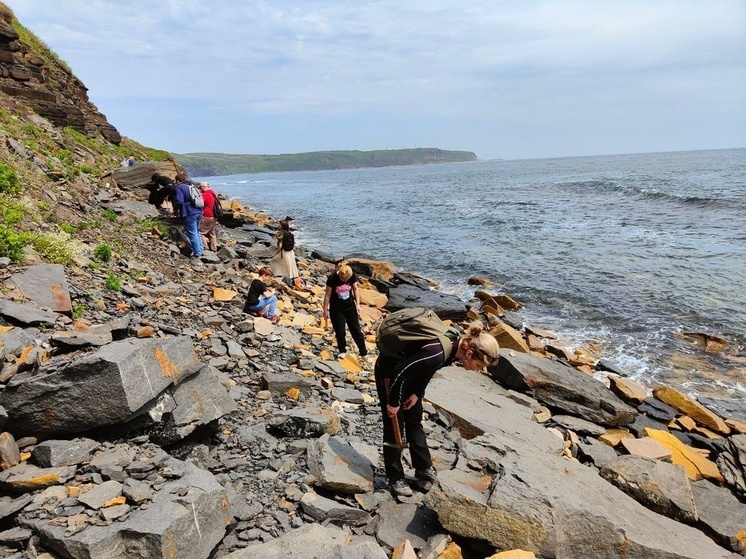 На острове Приморья нашли ценные для науки палеонтологические ископаемые