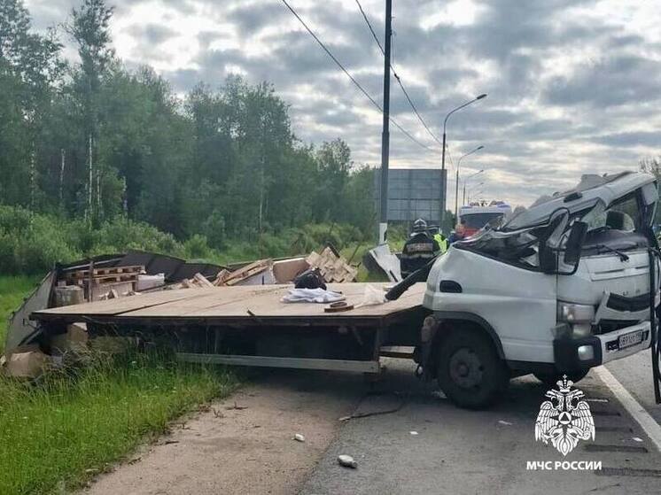 Водитель грузовика чудом не пострадал в жутком ДТП под Тверью