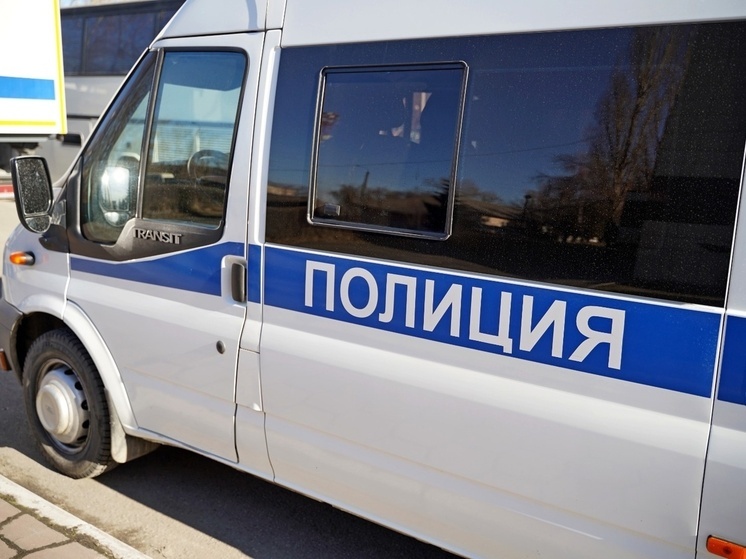 Шесть овец украла молодая жительница Липецкой области у пенсионерки