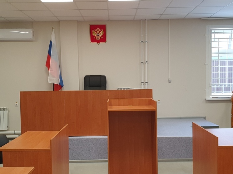 В Гороховце мошенница получила условный срок и 5 млн рублей штрафа