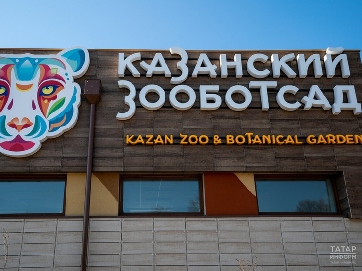 На вакансию директора Казанского зооботсада отозвались 230 человек
