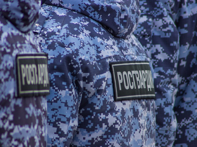 Как тренируют служебных собак, раскрыли тулякам в день кинолога Росгвардии
