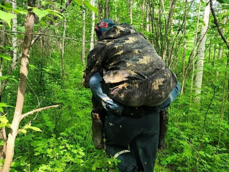 С медведем по соседству: пенсионерки из Хабаровского края потерялись в лесу на три дня