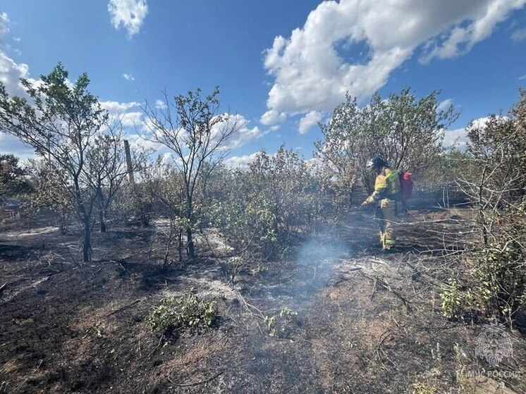  Огнеборцы спасли от пожара целый посёлок в ДНР