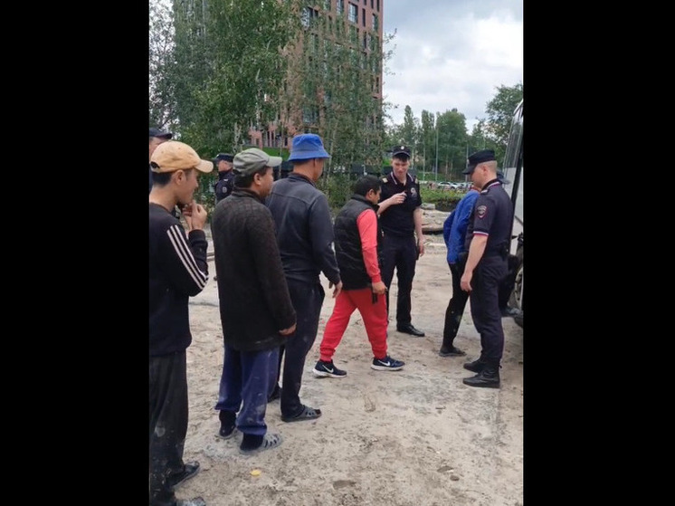 Под Воронежем выявлено 30 мигрантов, нарушивших трудовое законодательство