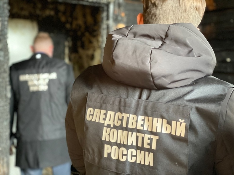 В Великом Новгороде начали расследование гибели двух женщин во время пожара
