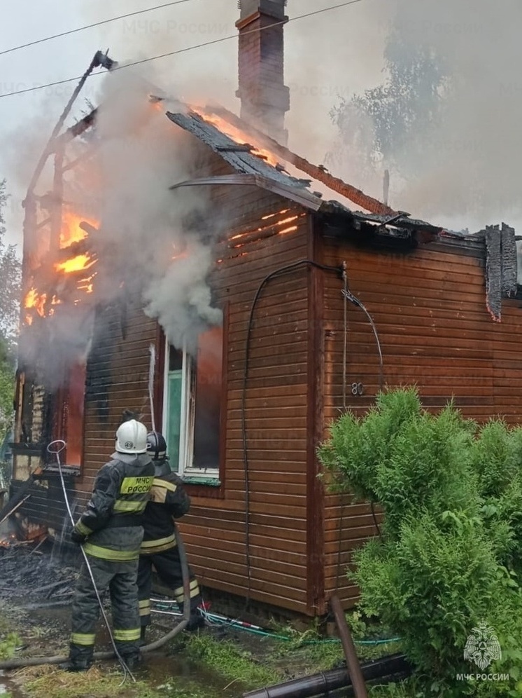 При пожаре в СНТ «Детчинская Поляна» пострадал человек