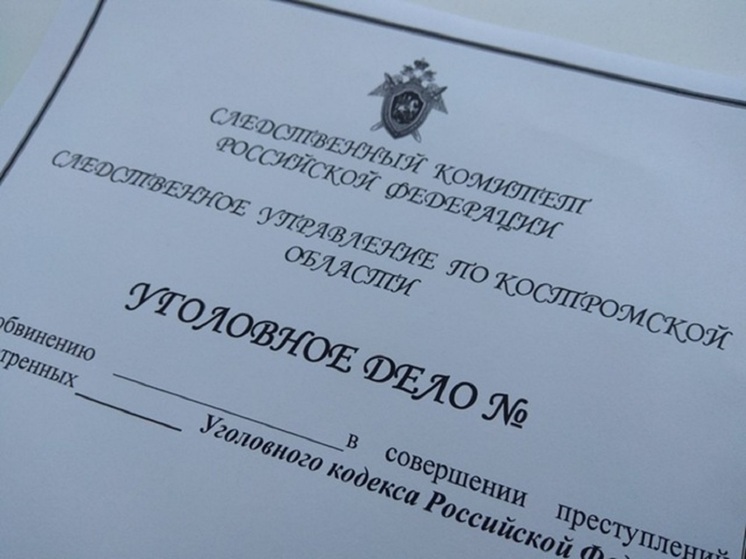 «Коррупционный аукцион» завершился для тульского лихача в костромском СИЗО