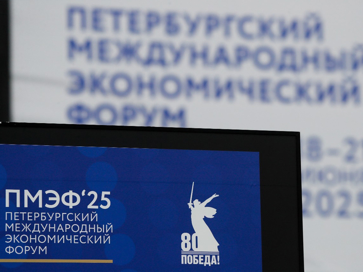 Началась трансляция Энергетической панели на ПМЭФ